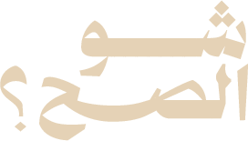 شو الصح logo
